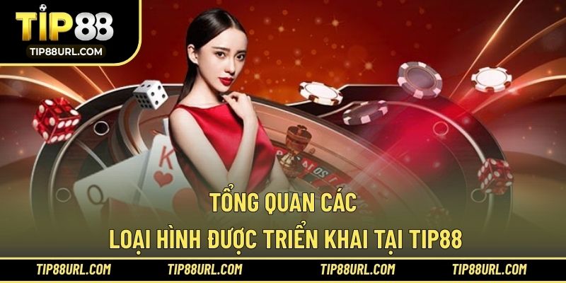 Tổng quan các loại hình được triển khai tại TIP88